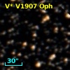 V* V1907 Oph