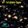 V* V1890 Oph