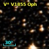 V* V1855 Oph