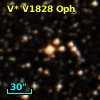V* V1828 Oph