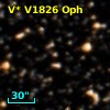 V* V1826 Oph
