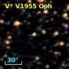 V* V1955 Oph