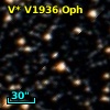 V* V1936 Oph