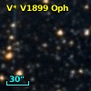 V* V1899 Oph
