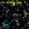 V* V1897 Oph