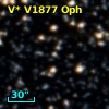 V* V1877 Oph