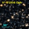V* V1856 Oph