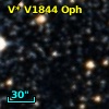 V* V1844 Oph