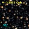 V* V1831 Oph