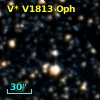 V* V1813 Oph