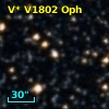 V* V1802 Oph