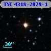 TYC 4318-2029-1