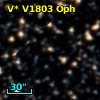 V* V1803 Oph