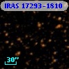 IRAS 17293-1810