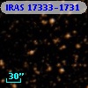 IRAS 17333-1731