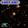 FAUST 4202