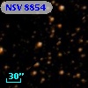 NSV  8854
