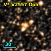 V* V2557 Oph