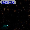 LDN  229