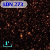 LDN  273
