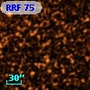 RRF   75