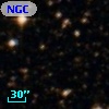 NGC  6494    77