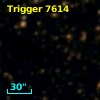 Trigger  7614