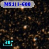 [M81] I-600