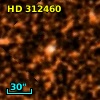HD 312460