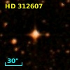 HD 312607