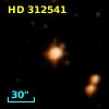 HD 312541