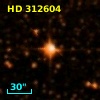 HD 312604