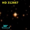HD 312667