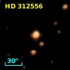 HD 312556
