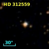 HD 312559