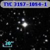 TYC 3187-1084-1