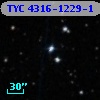 TYC 4316-1229-1