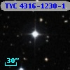 TYC 4316-1230-1