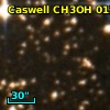 Caswell CH3OH 012.20-00.11