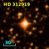 HD 312919