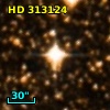 HD 313124
