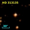 HD 313135