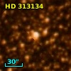 HD 313134