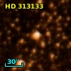 HD 313133