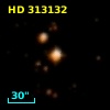 HD 313132