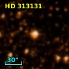 HD 313131