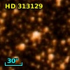 HD 313129