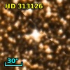 HD 313126