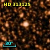 HD 313125