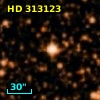 HD 313123